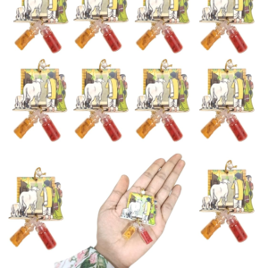 Haldi Kumkum gruhapraveshm /. House Warming Ceremony Tamboolam Gifts Set of 20 pcs | Ramuss